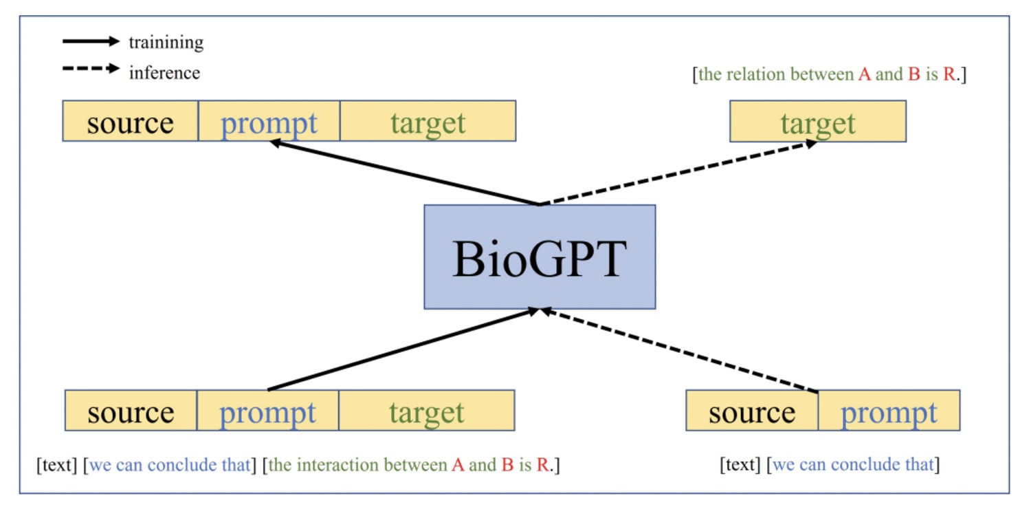 BioGPT-description_picture